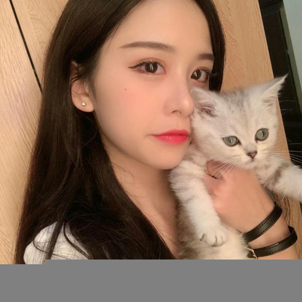可爱的发光猫手游下载
