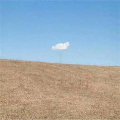 蜀山仙境果盘变态版下载